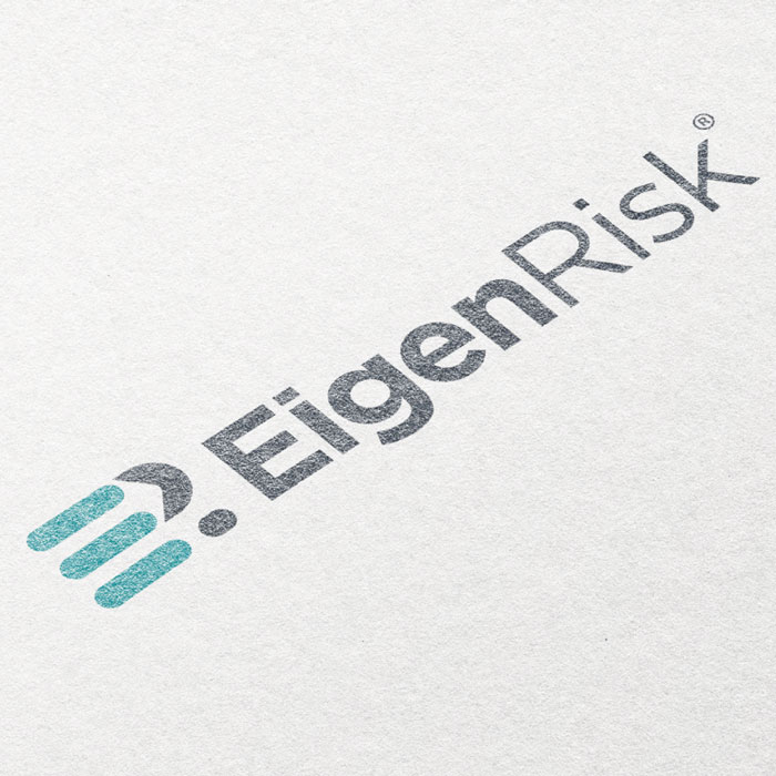 Eigen Risk